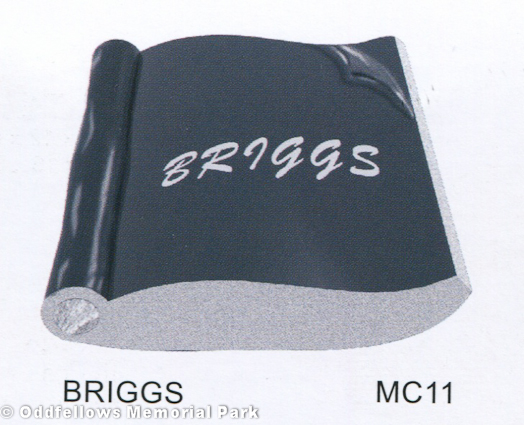 Briggs